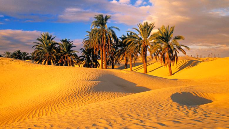 Le désert du Sahara et ses oasis