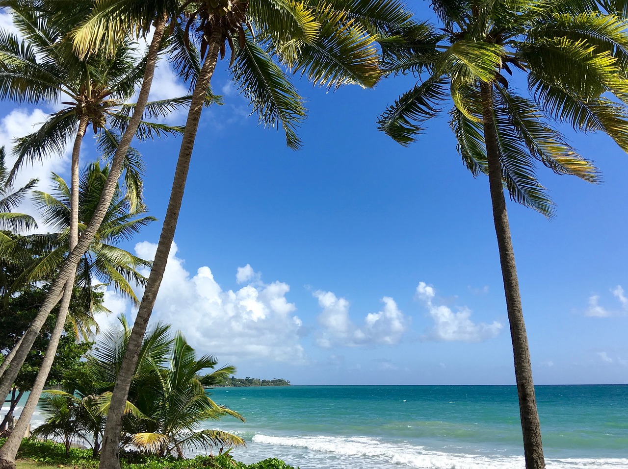Un hôtel en Martinique pour passer des vacances en couleurs