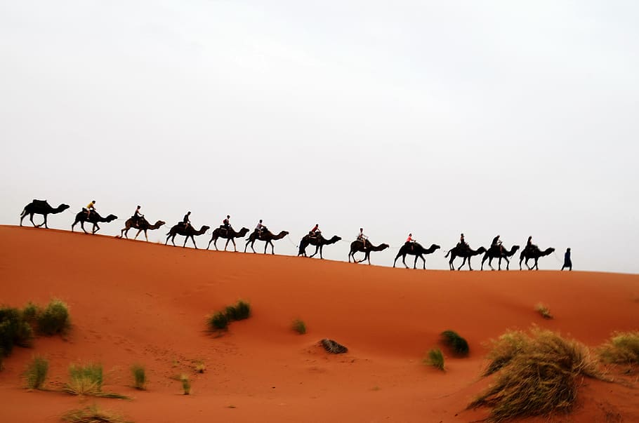 Conseils pour économiser de l'argent lors de votre voyage au Maroc